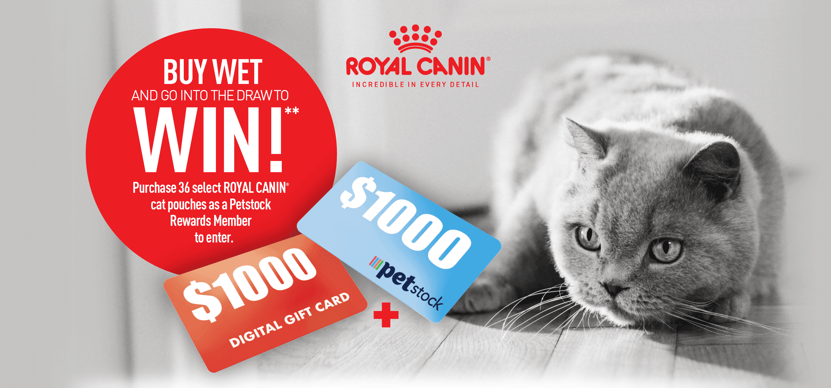 ROYAL CANIN - BUY WET & GO INTO THE DRAW TO WIN!