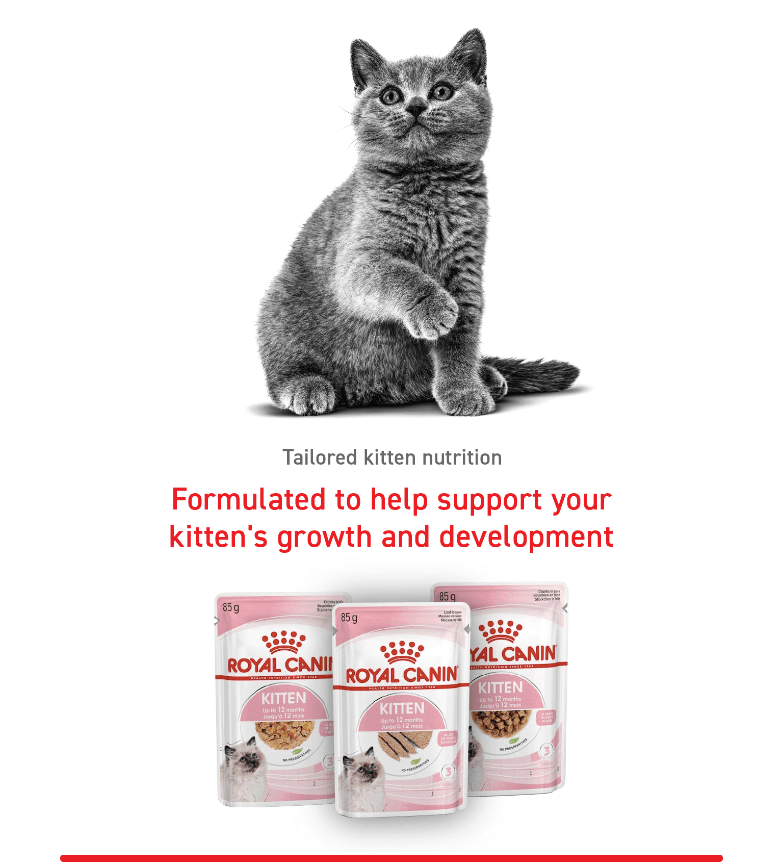 Tailored kitten nutrition