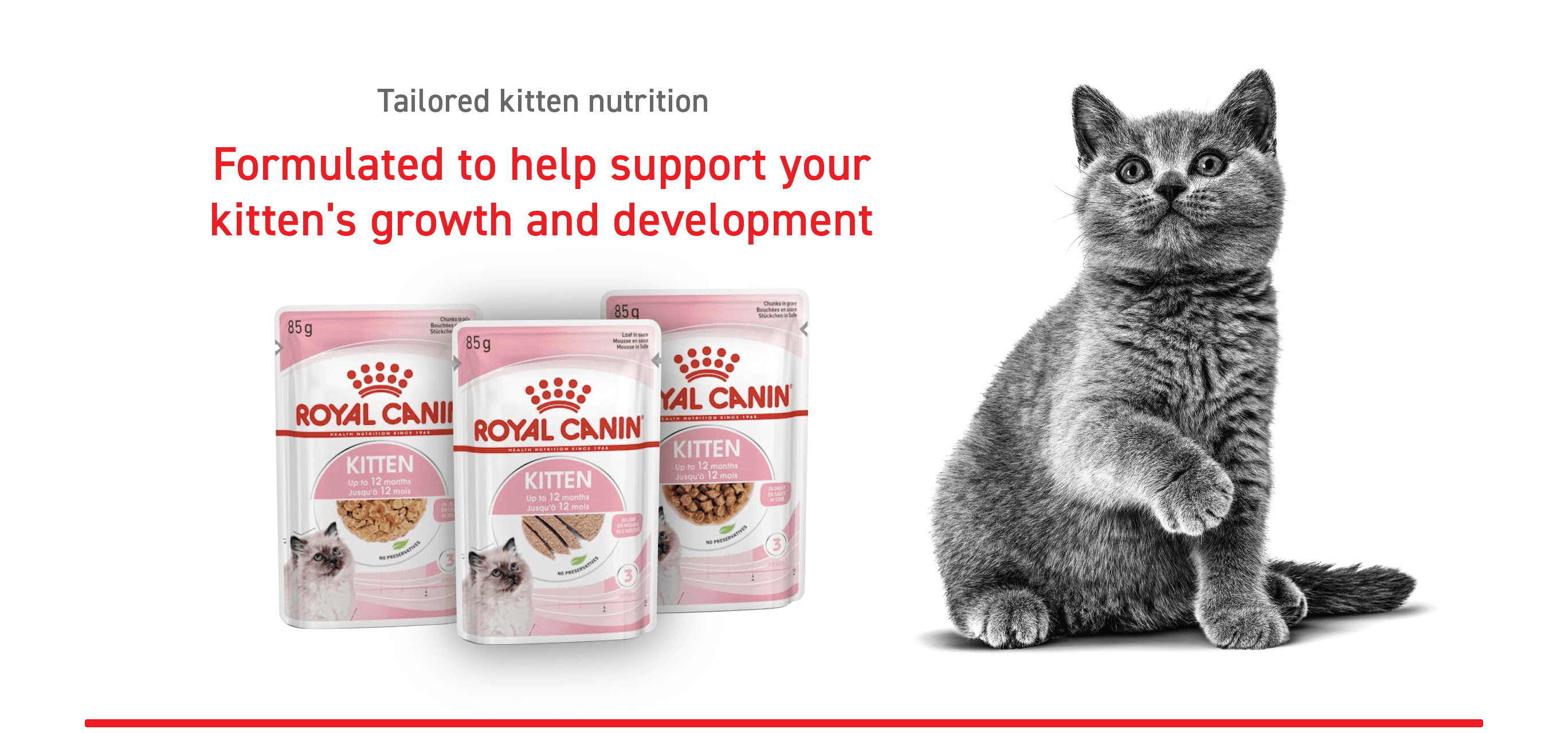 Tailored kitten nutrition
