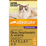 Cat Flea, Tick & Worming Treatments